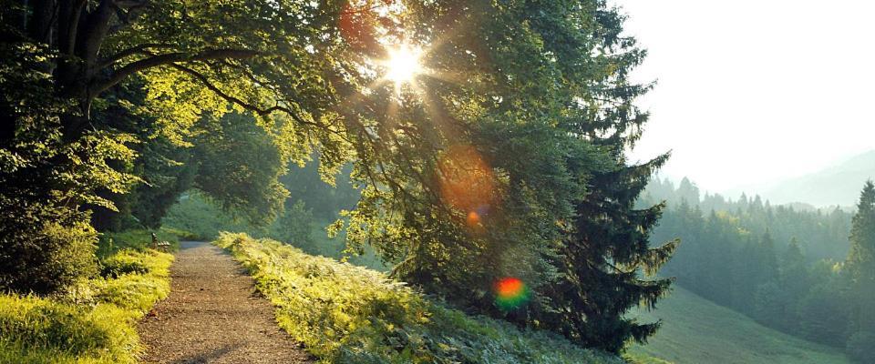 Landgasthof Kirchmayer Farchant Bagian luar foto