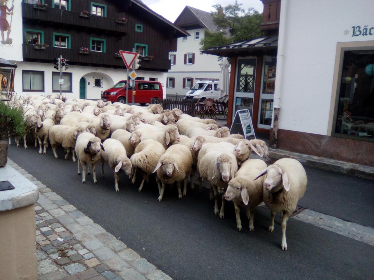 Landgasthof Kirchmayer Farchant Bagian luar foto